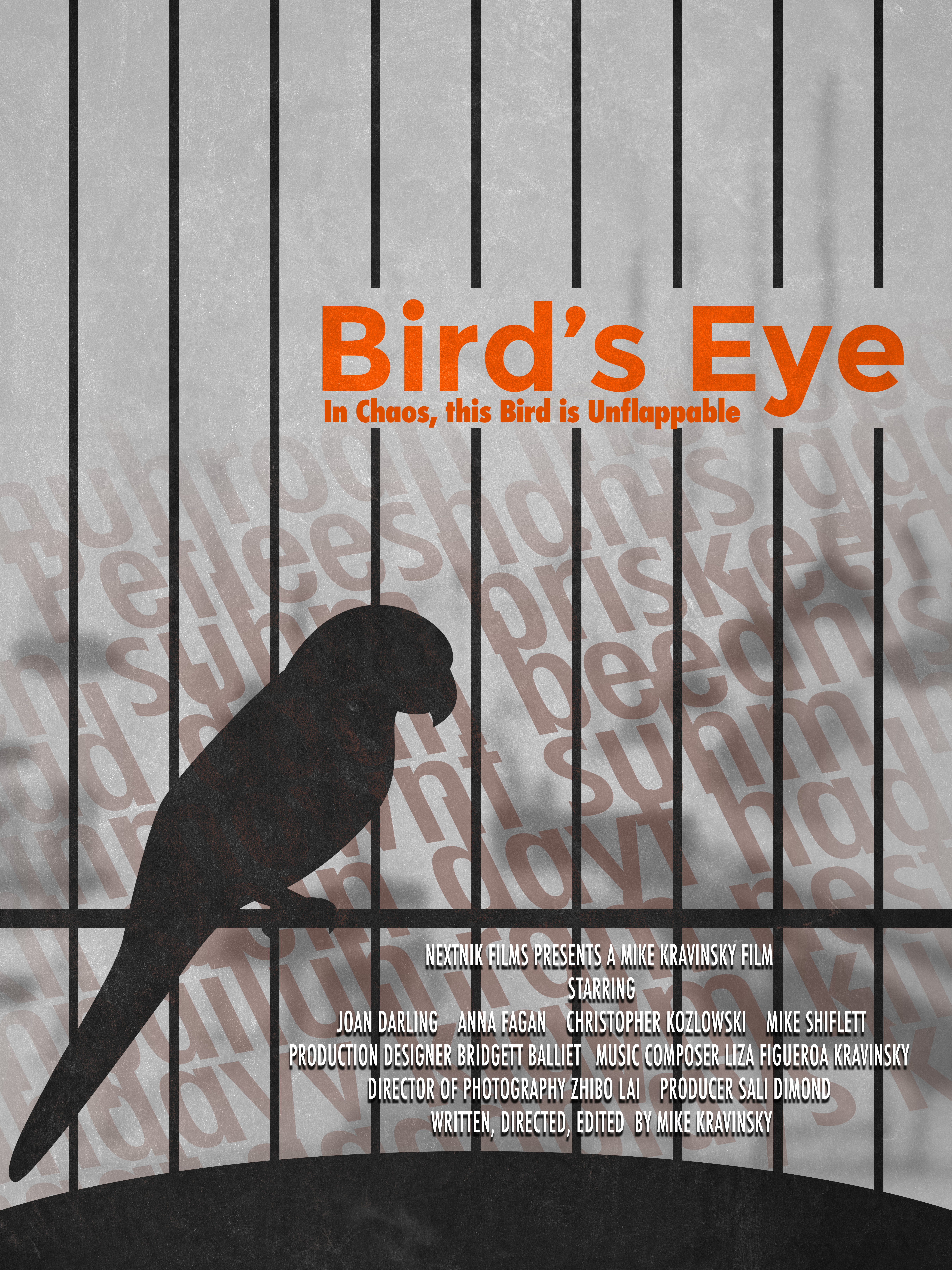 Bird's Eye (2020)