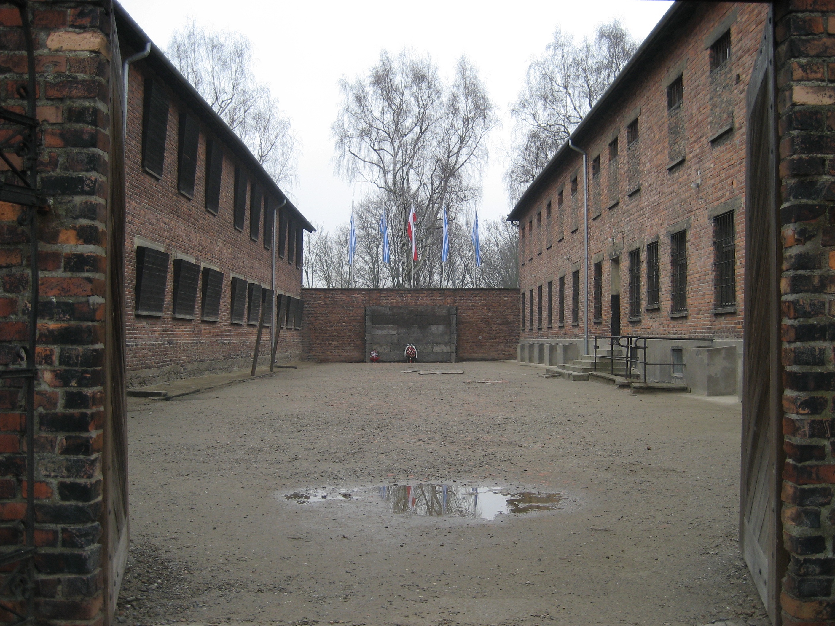 Сделано в Освенциме: Нерассказанная история блока номер десять (2019)